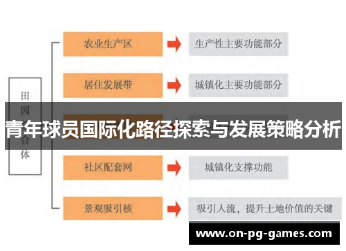 青年球员国际化路径探索与发展策略分析 青年球员国际化路径探索与发展策略分析